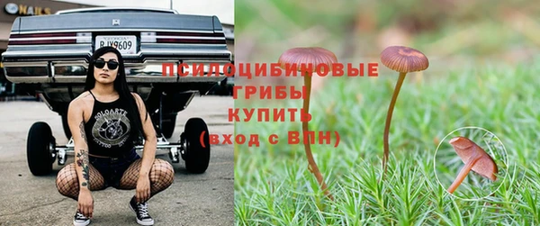 ALPHA PVP Магас