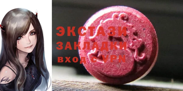 ешки Снежногорск