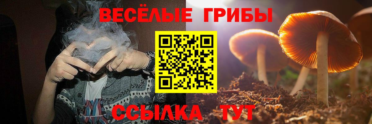 Псилоцибиновые грибы Cubensis  Псилоцибиновые грибы MAGIC MUSHROOMS  Мелеуз  Вход с VPN 