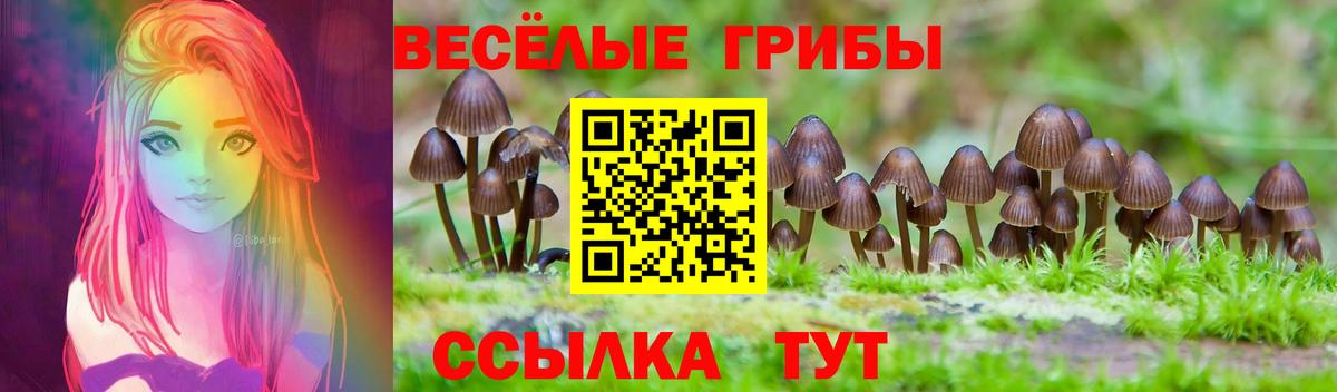 Псилоцибиновые грибы Magic Shrooms Мелеуз